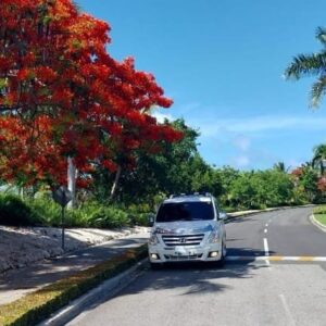 Private Tranfer Punta Cana Airport to Iberostar La Hacienda