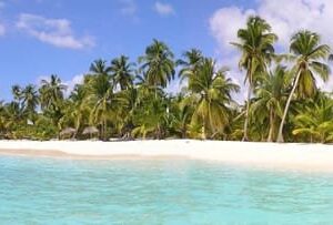 Punta Cana: Saona Island Day Trip with Open Bar and Lunch
