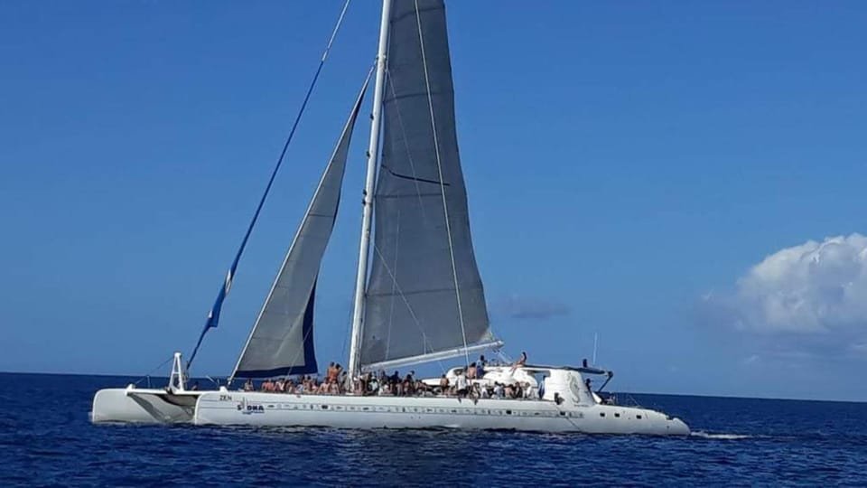 Catalina Island: Day Trip - Best Snorkeling! - Image 6