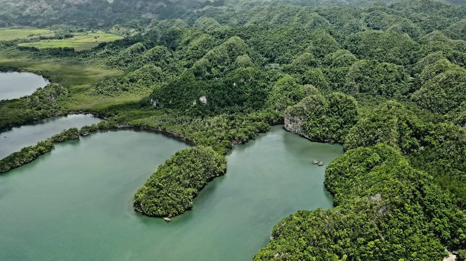 Las Terrenas: Just Los Haitises Boat and Walking Tour - Image 6