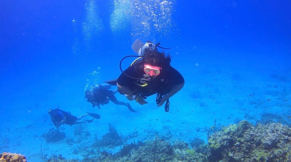 Punta Cana: Catalina Island Scuba Diving Day Trip - Image 2