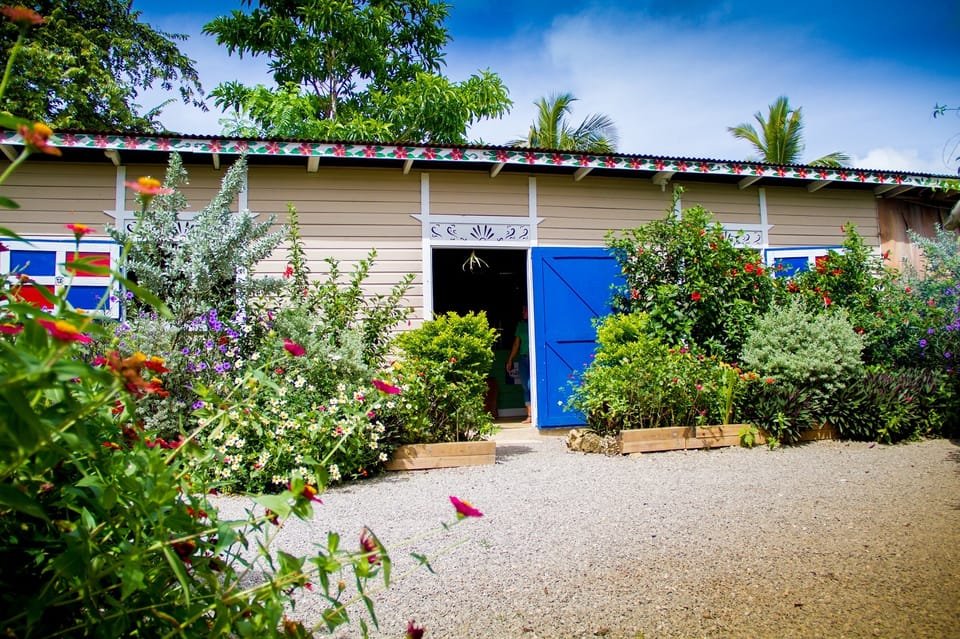 Dominican Countryside: Half-Day Tour - Image 2