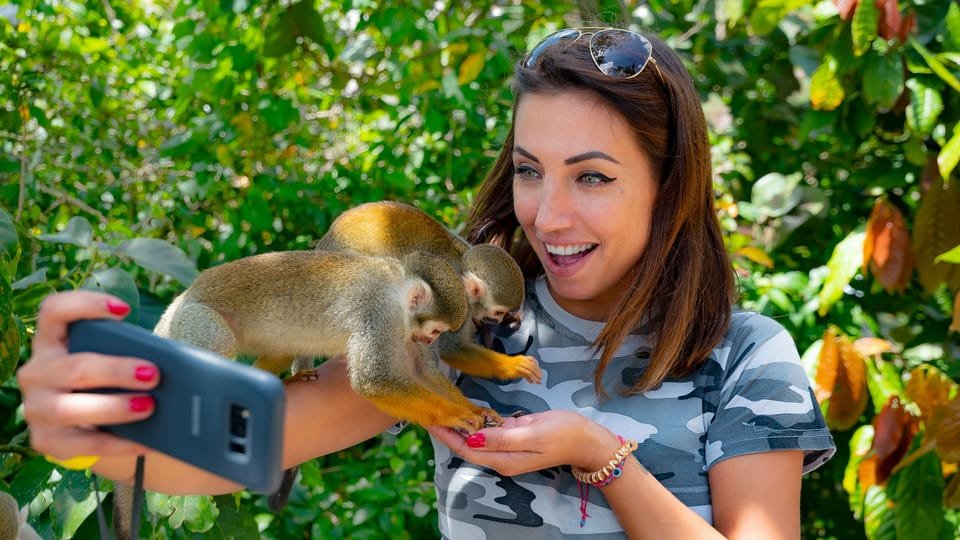 From Bayahibe: Half Day Monkeyland Safari - Image 6