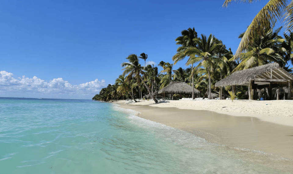 Excursion to Saona Island: Tropical Paradise whit Lunch - Image 10