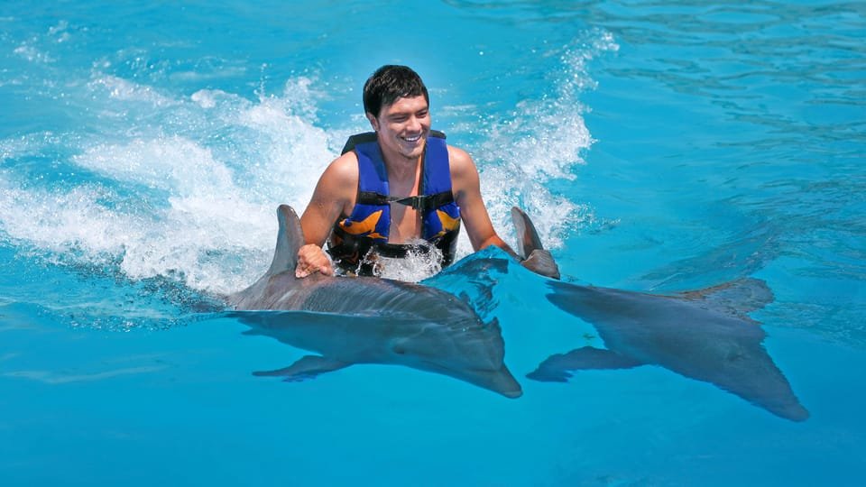 Punta Cana: Dolphin Discovery Swims and Encounters - Image 3