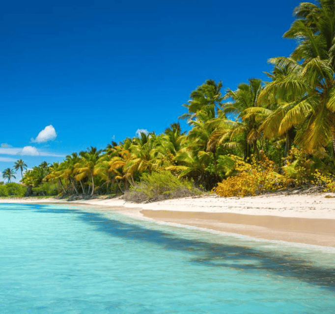 Punta Cana: Saona Island Day Trip with Tickets and Lunch - Image 2