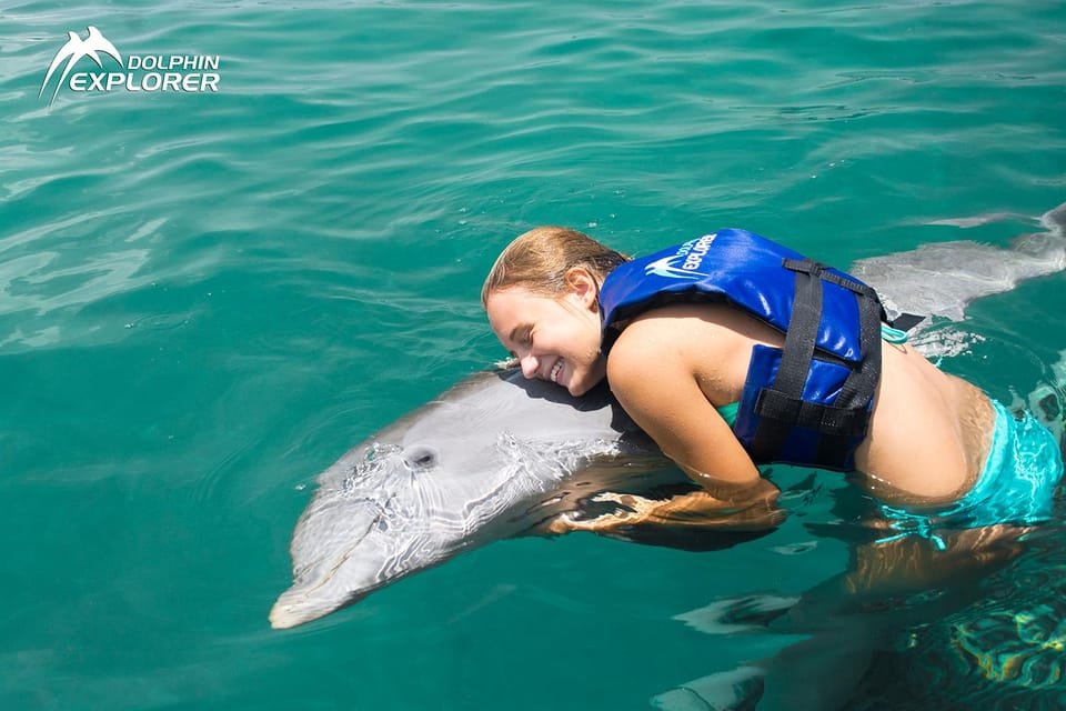 Swim with Dolphins in Punta Cana - Image 6