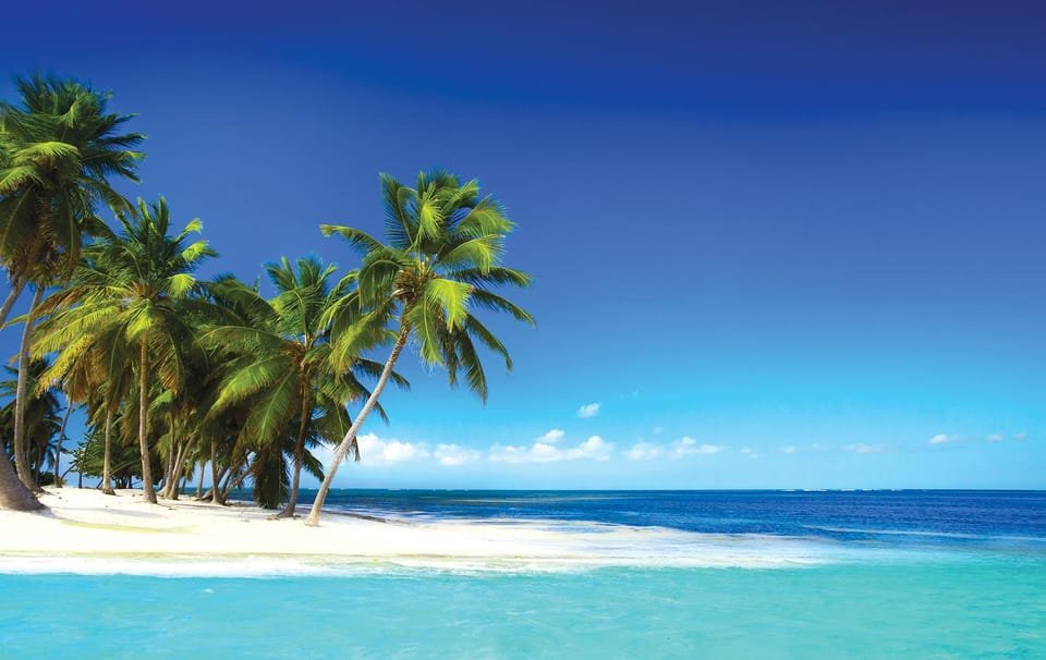 Private Transfer from Club Med to SDQ - Image 7