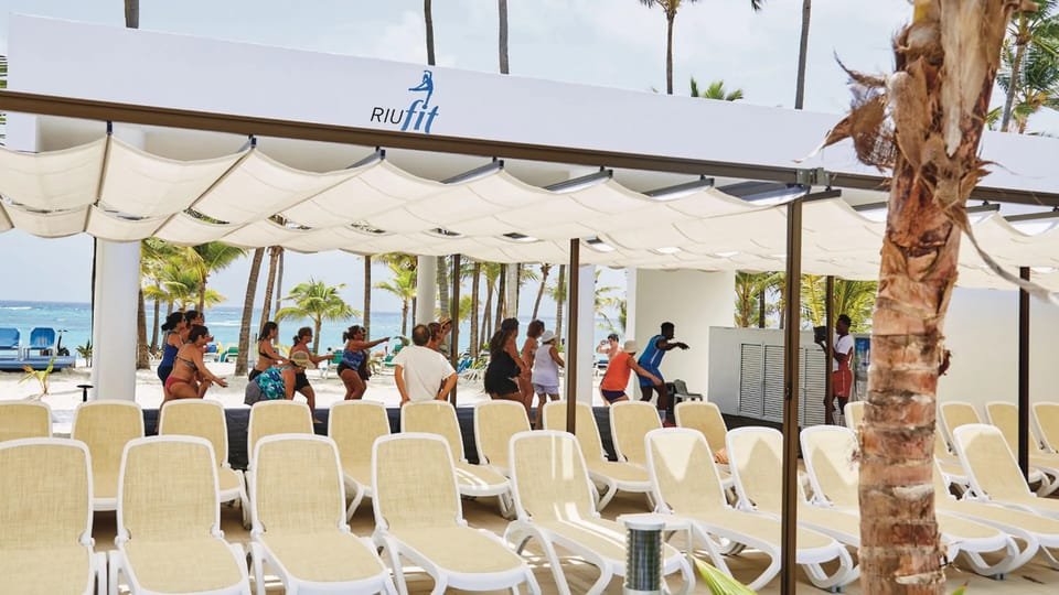 Private Tranasfer from Punta Cana Airport to Riu Bambu hotel - Image 7
