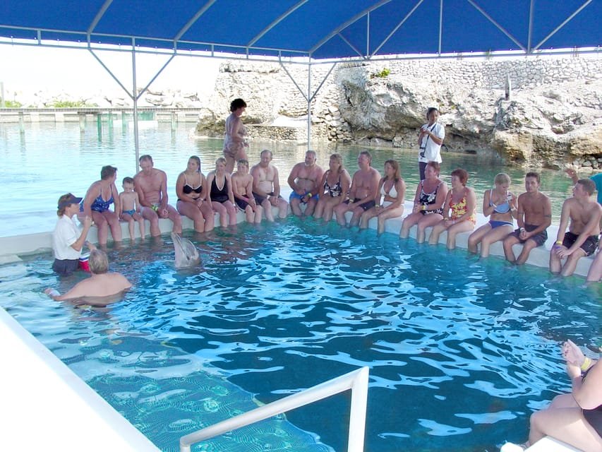 Dolphin Encounter at Ocean World, Puerto Plata - Image 2