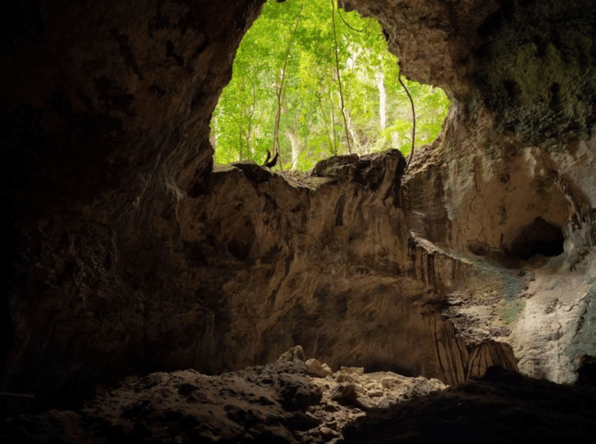Las Terrenas: Just Los Haitises Boat and Walking Tour - Image 15