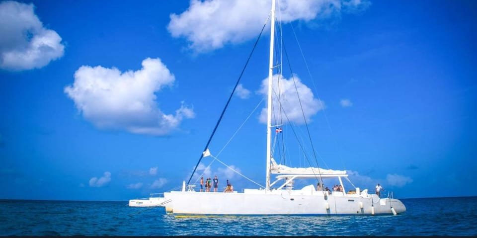Aventura Exótica a Isla Saona: Paraíso en la Piscina Natural - Image 8