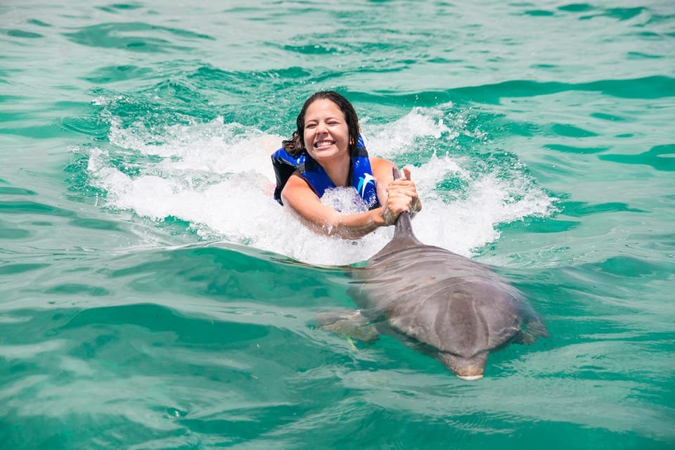 Punta Cana: Dolphin Explorer Swims and Interactions - Image 8
