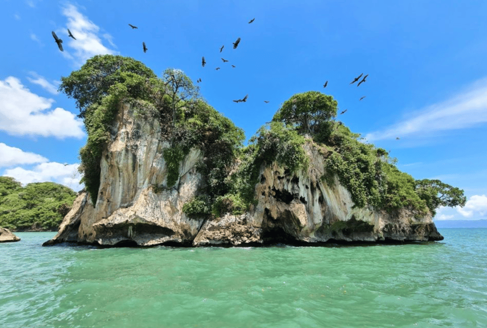 Los Haitises 4 Caves expedition & Rain Forest walk - Image 8