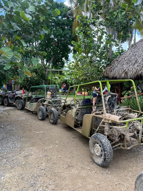 Wild Off-Road Dune Buggy Adventure in Punta Cana - Image 8