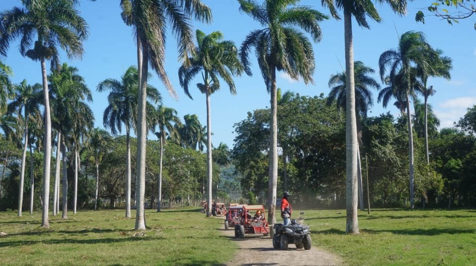 Amber Cove - Taino Bay 4 Seaters Super Buggy Tour - Image 8