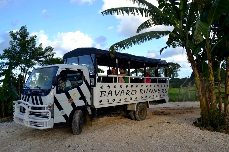 From Bayahibe: Half Day Monkeyland Safari - Image 8