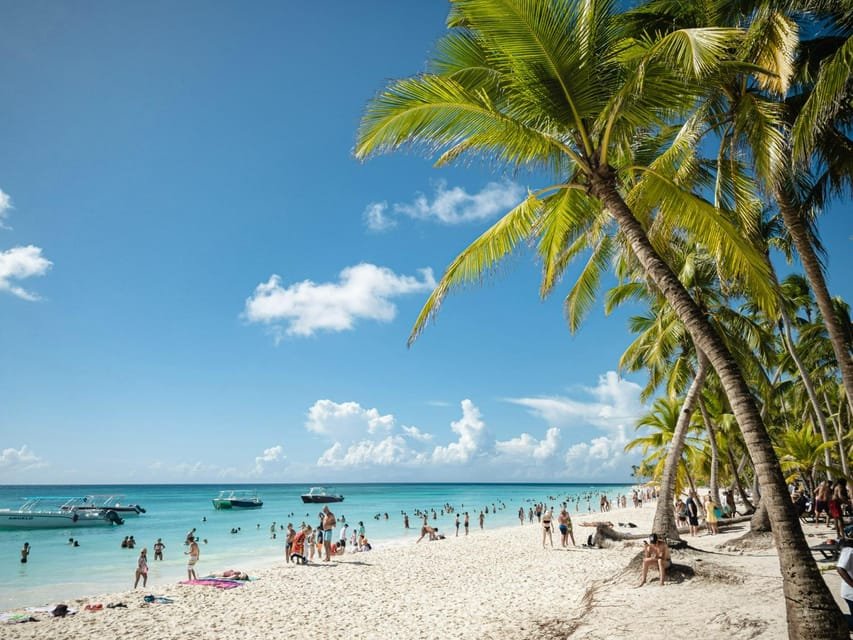 Punta Cana: Boat Tour to Isla Saona, Open Bar & Buffet Lunch - Image 8