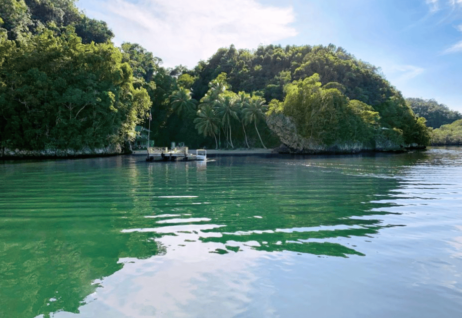 Las Terrenas: Just Los Haitises Boat and Walking Tour - Image 16
