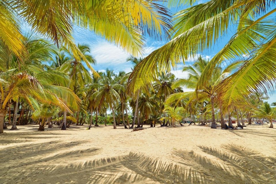 Punta Cana: Boat Tour to Isla Saona, Open Bar & Buffet Lunch - Image 9