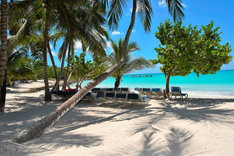 Catamaran Tour to Saona Island: Lunch & Open Bar Experience - Image 7