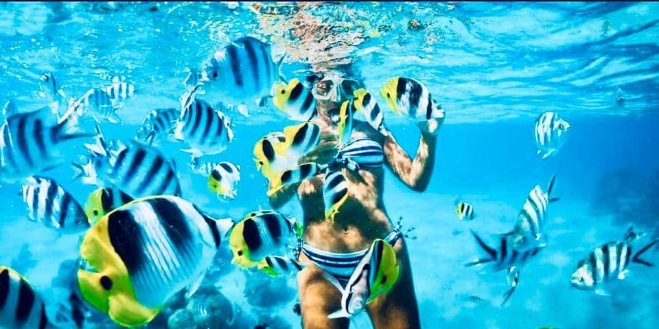 Aventura Exótica a Isla Saona: Paraíso en la Piscina Natural - Image 10