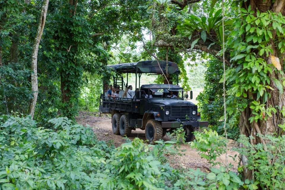 Punta Cana: Zipline, Chairlift, Buggy & Horse Ride Adventure - Image 11