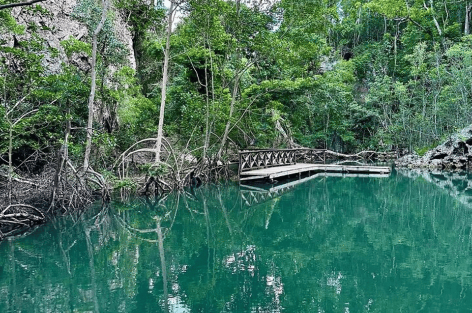 Las Terrenas: Just Los Haitises Boat and Walking Tour - Image 17