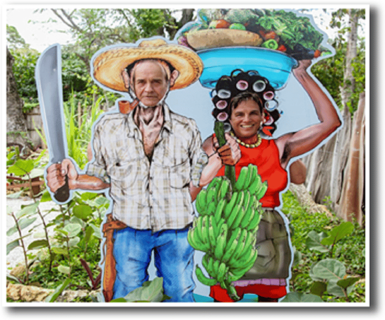 Dominican Countryside: Half-Day Tour - Image 6