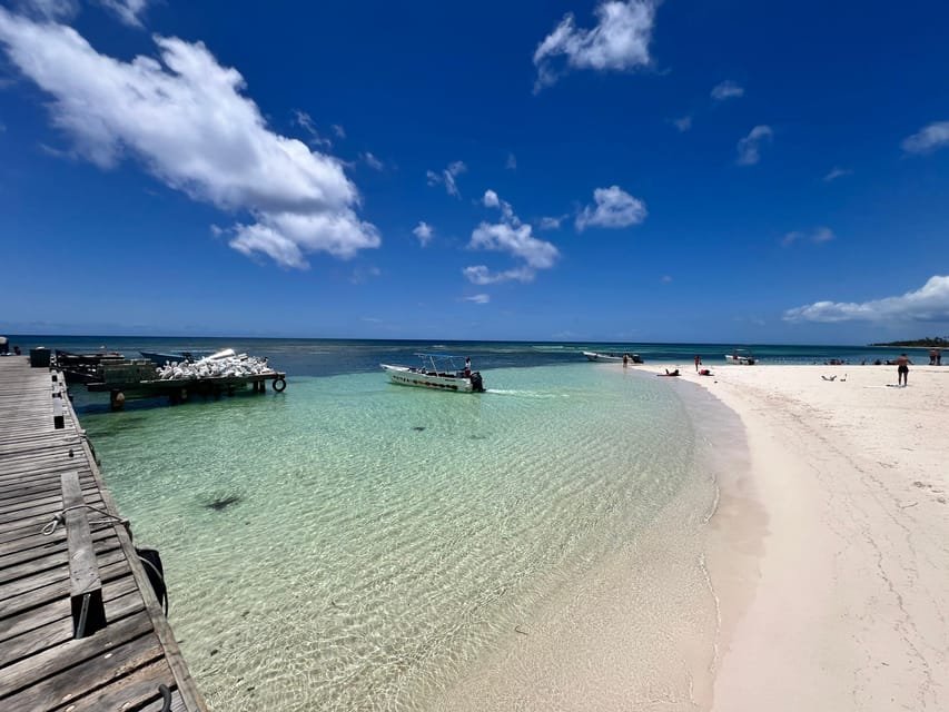 Excursion to Saona Island: Tropical Paradise whit Lunch - Image 6