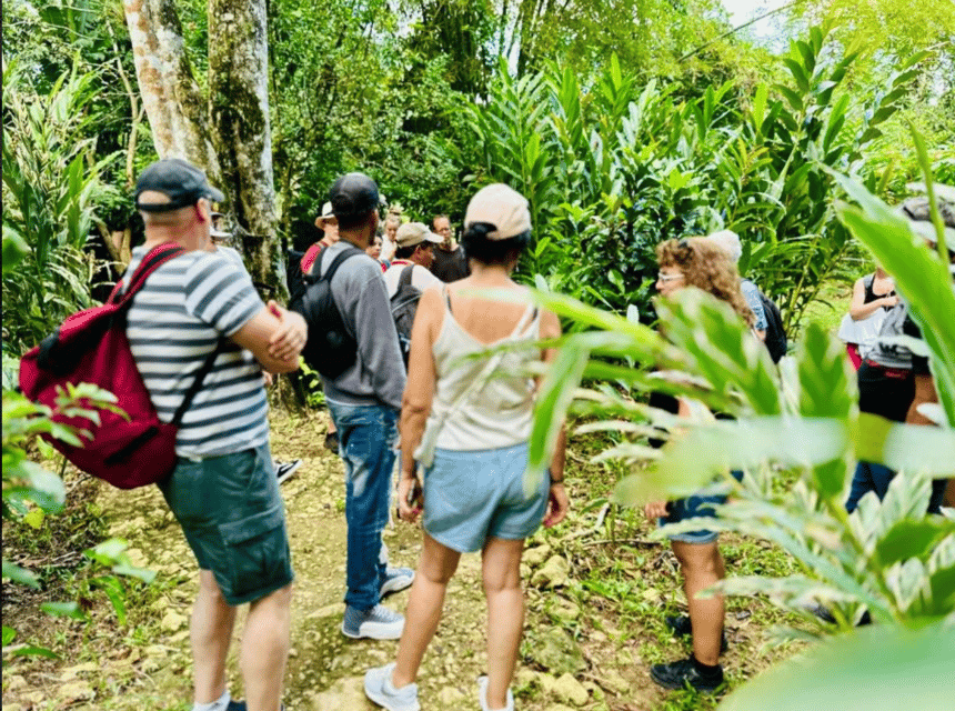 Los Haitises 4 Caves expedition & Rain Forest walk - Image 11