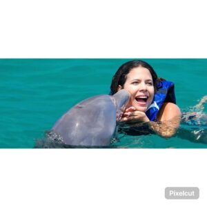 Punta Cana: Dolphin Explorer Swims and Encounters