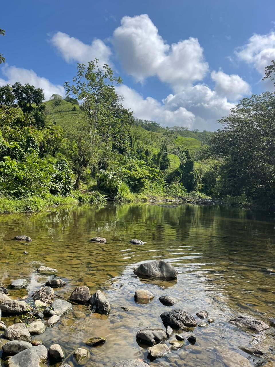 Salto de la Jalda – Horseback & Hiking Adventure From Miches - Image 9