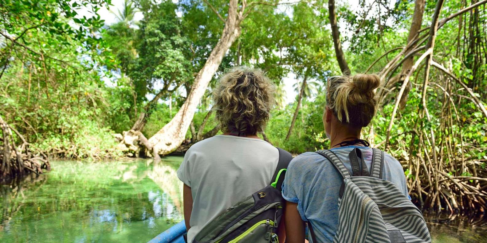 Los Haitises: Caves, Mangroves, & Rainforest Hike/Boat Tour - Image 2