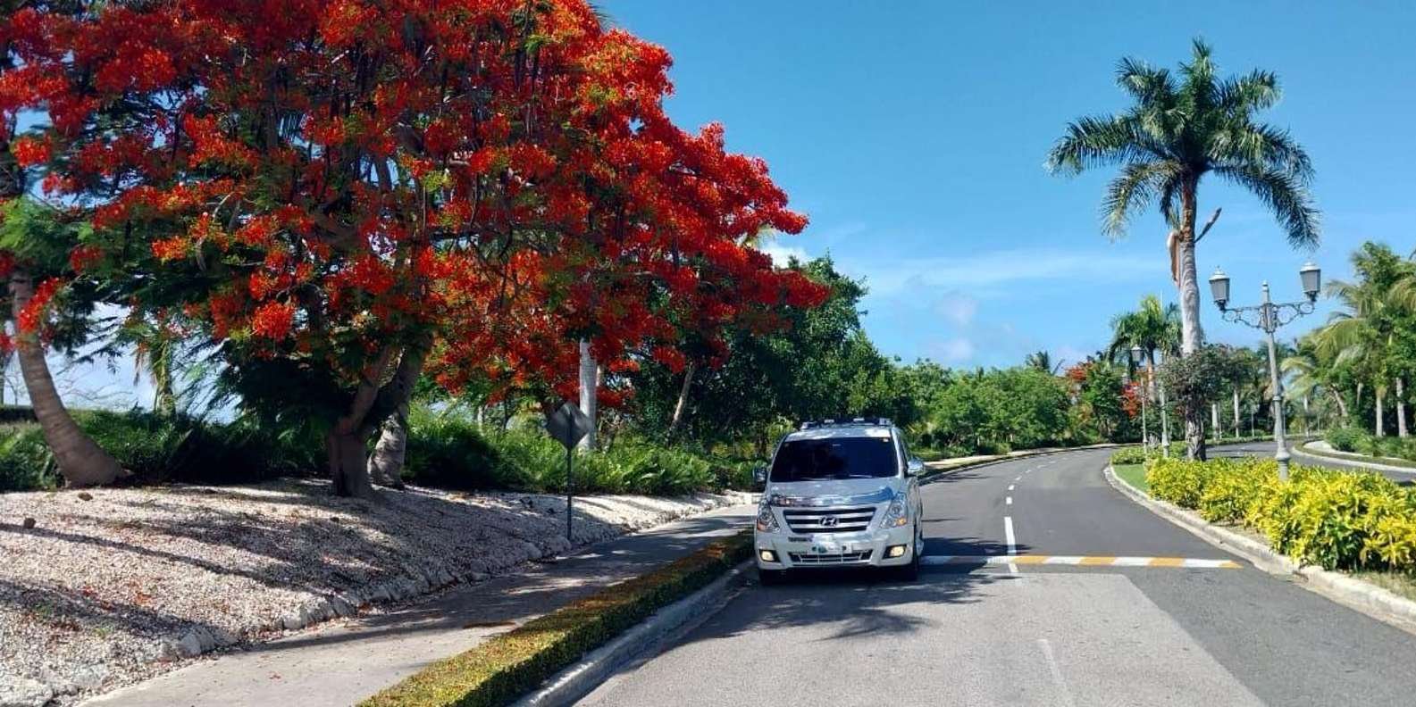 Private Transfer from Majestic Elegance to SDQ - Image 2