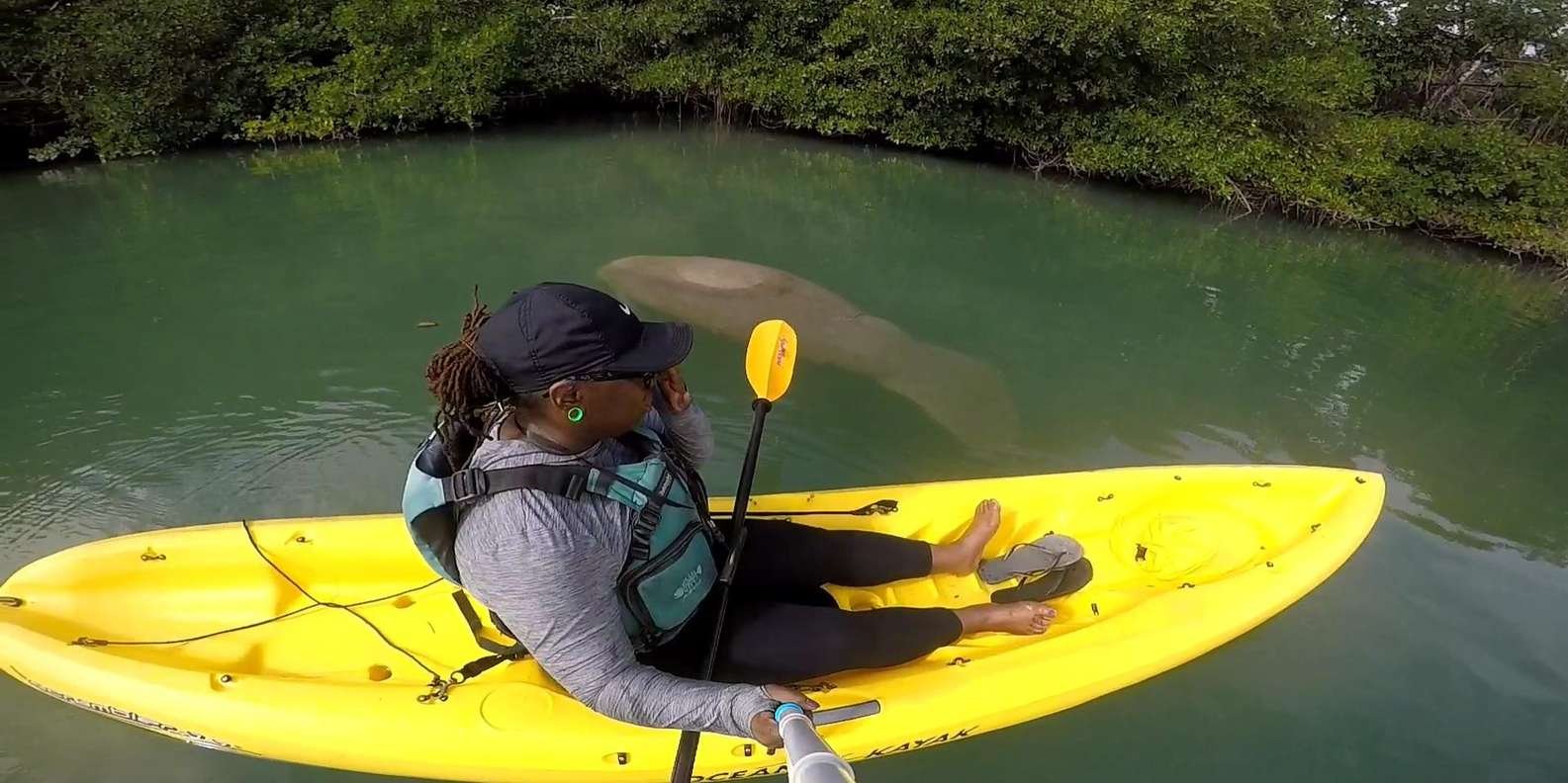 Boca Chica : Los Haitises Guided Hike and Kayaking - Image 15