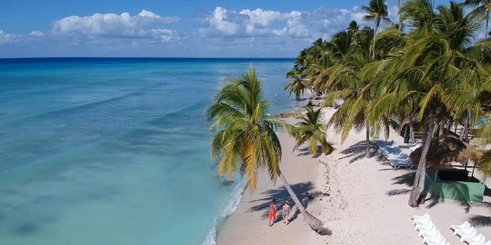 Punta Cana: Amazing Saona Island Clasica Full Day - Image 11