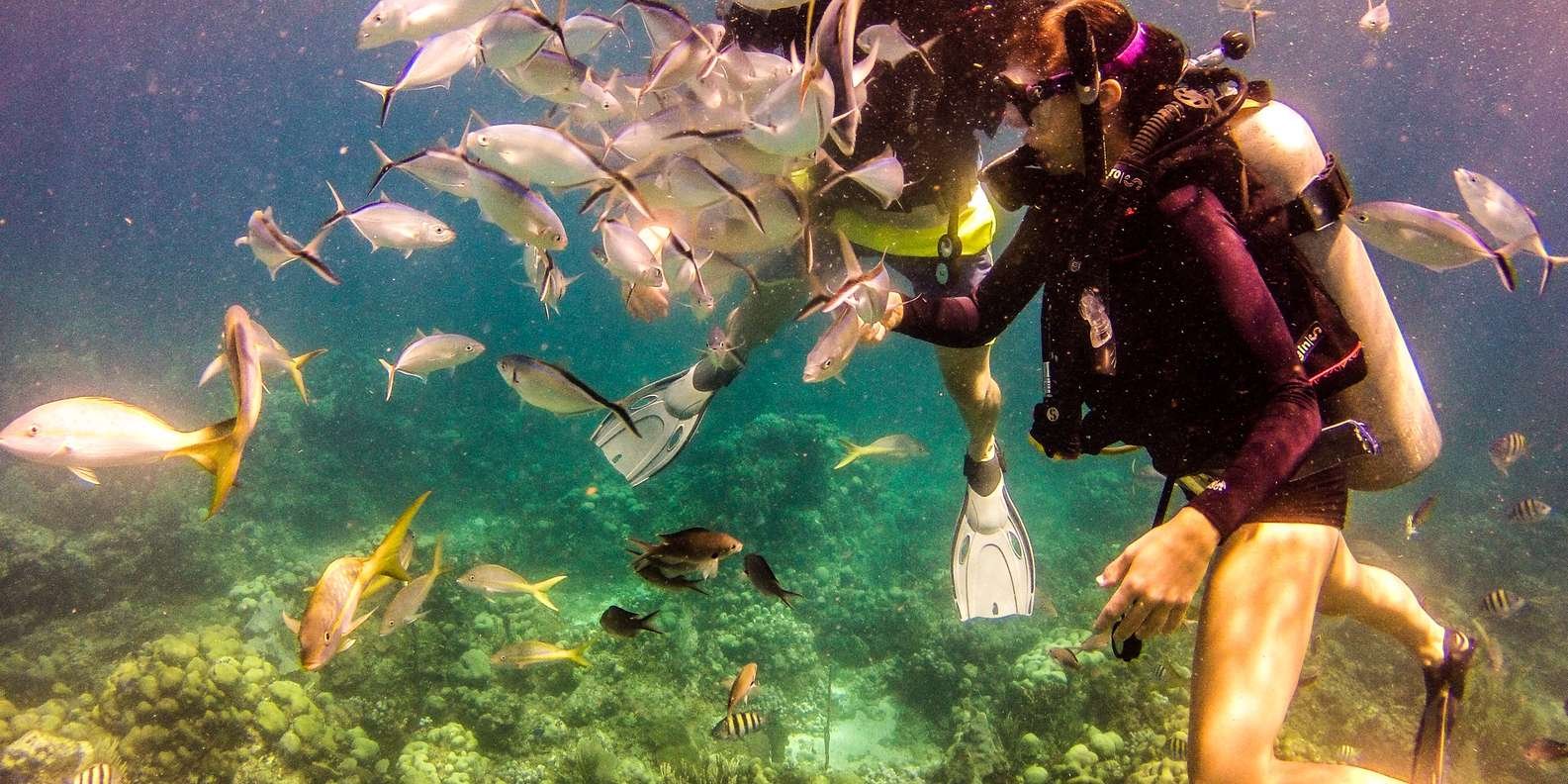 La Romana: Scuba Diving in Catalina Island - Image 12