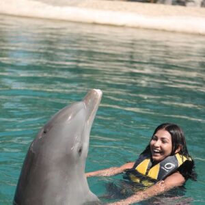 Puerto Plata Ocean World Dolphin Swim