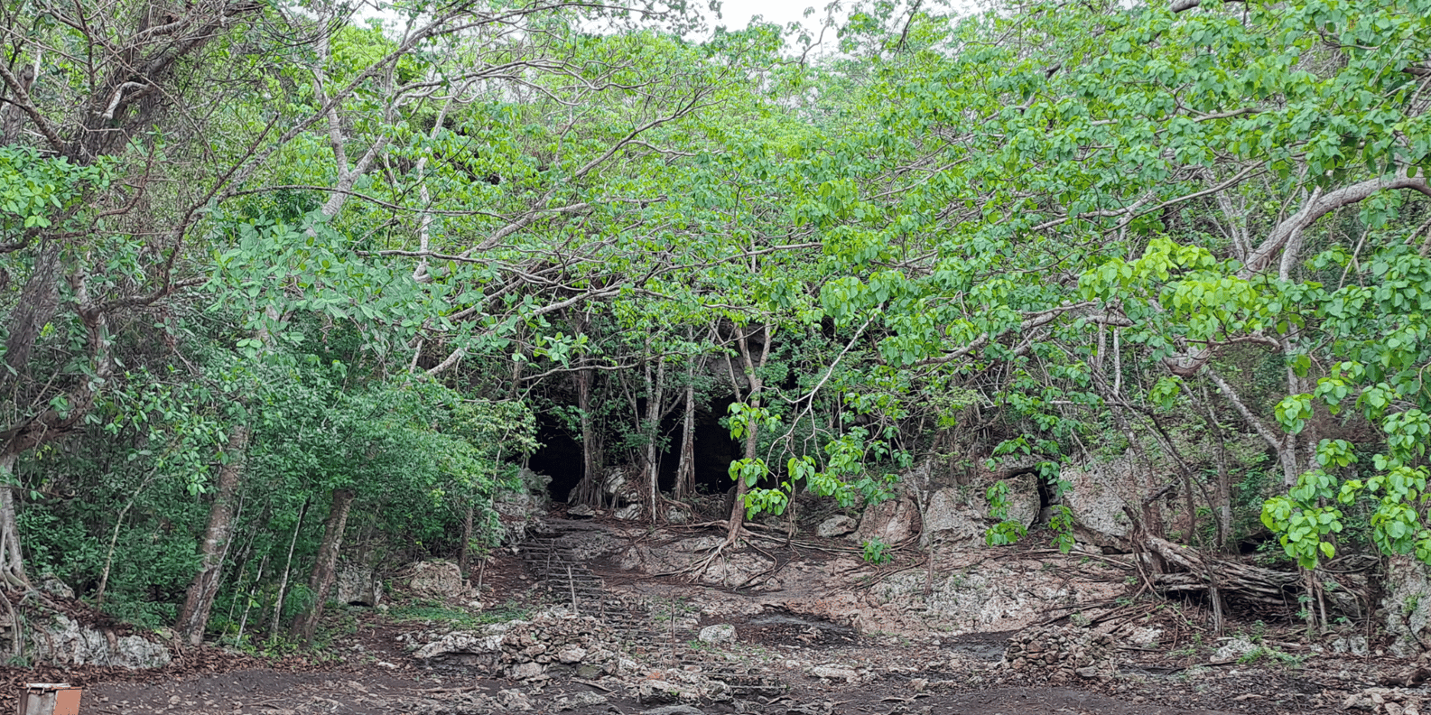 Private Boca de Yuma Day Tour - Image 13