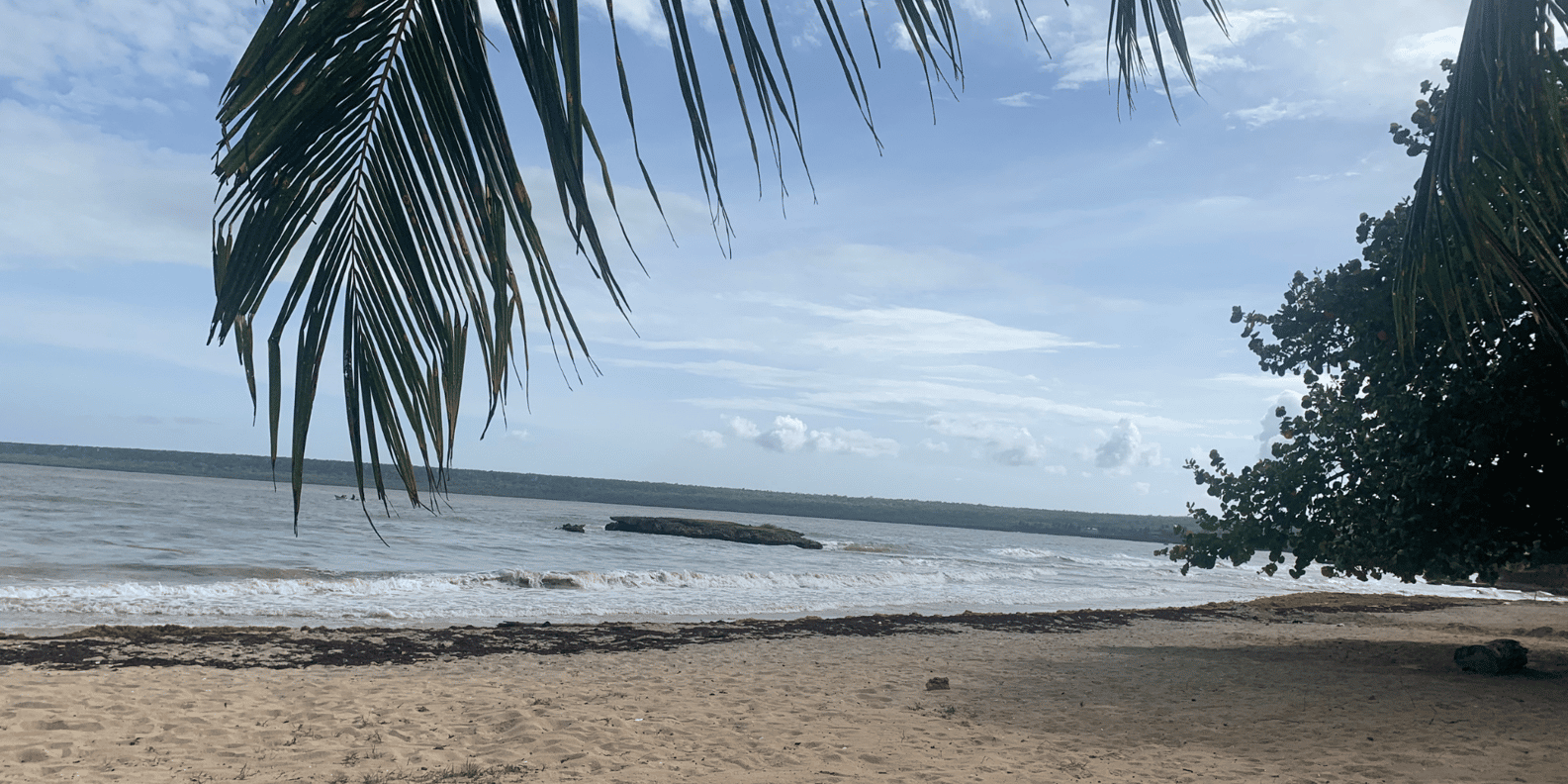 Private Boca de Yuma Day Tour - Image 14