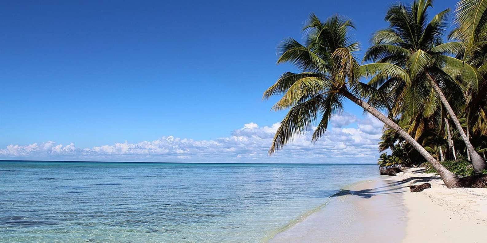 All-Inclusive Saona Island Day Trip from Punta Cana - Image 15