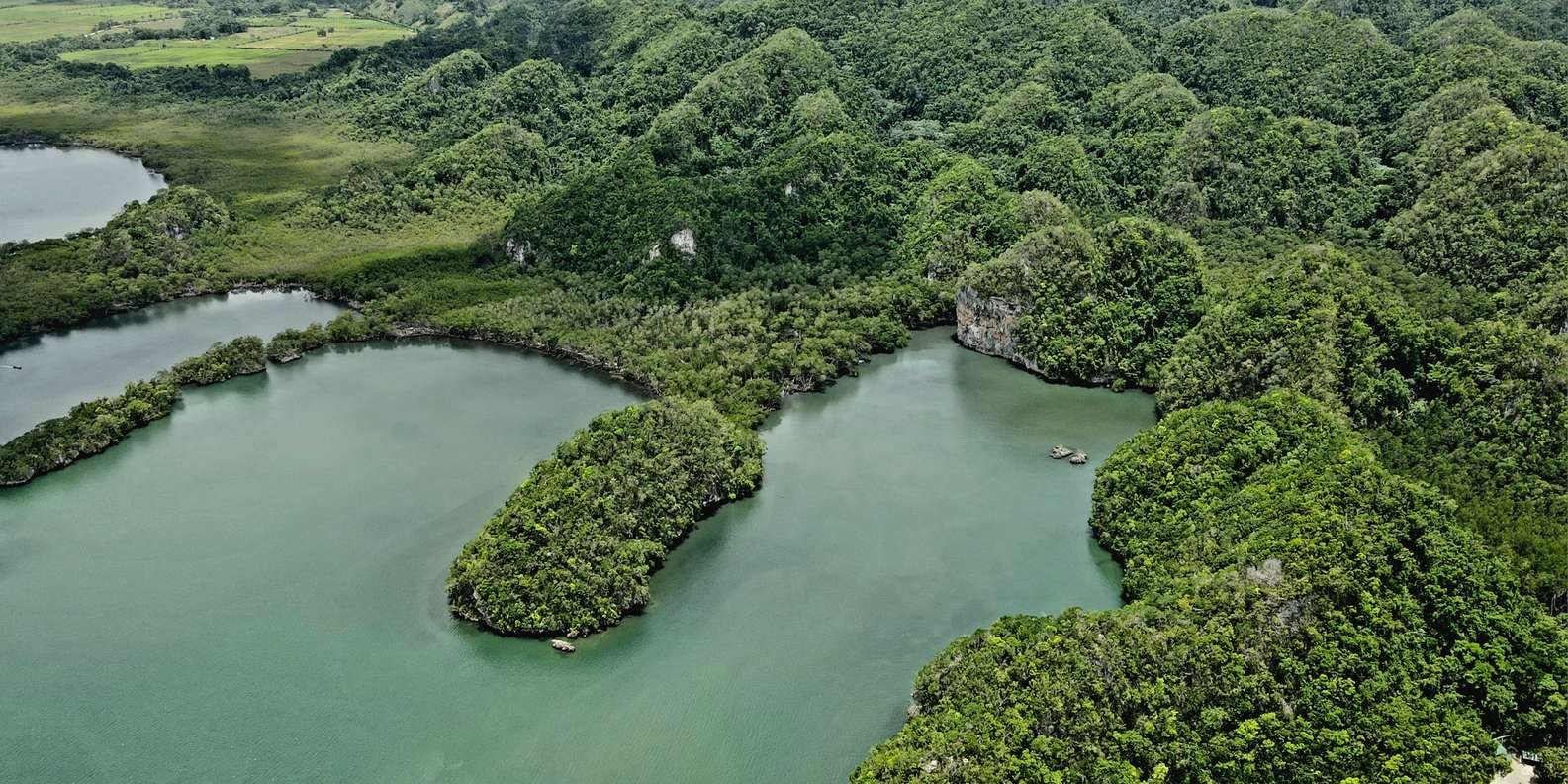 Cano Hondo Natural Pools & Los Haitises boat tour - Image 4