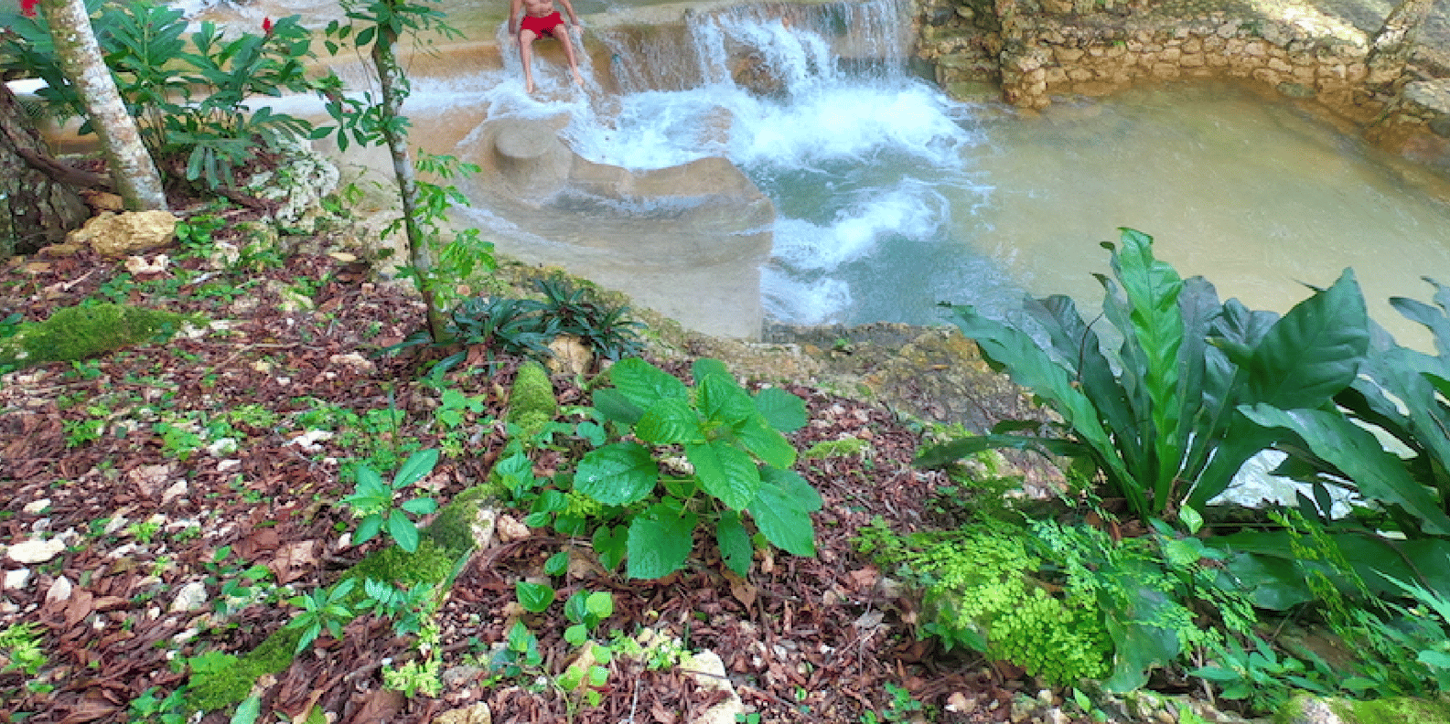 Cano Hondo Natural Pools & Los Haitises boat tour - Image 5