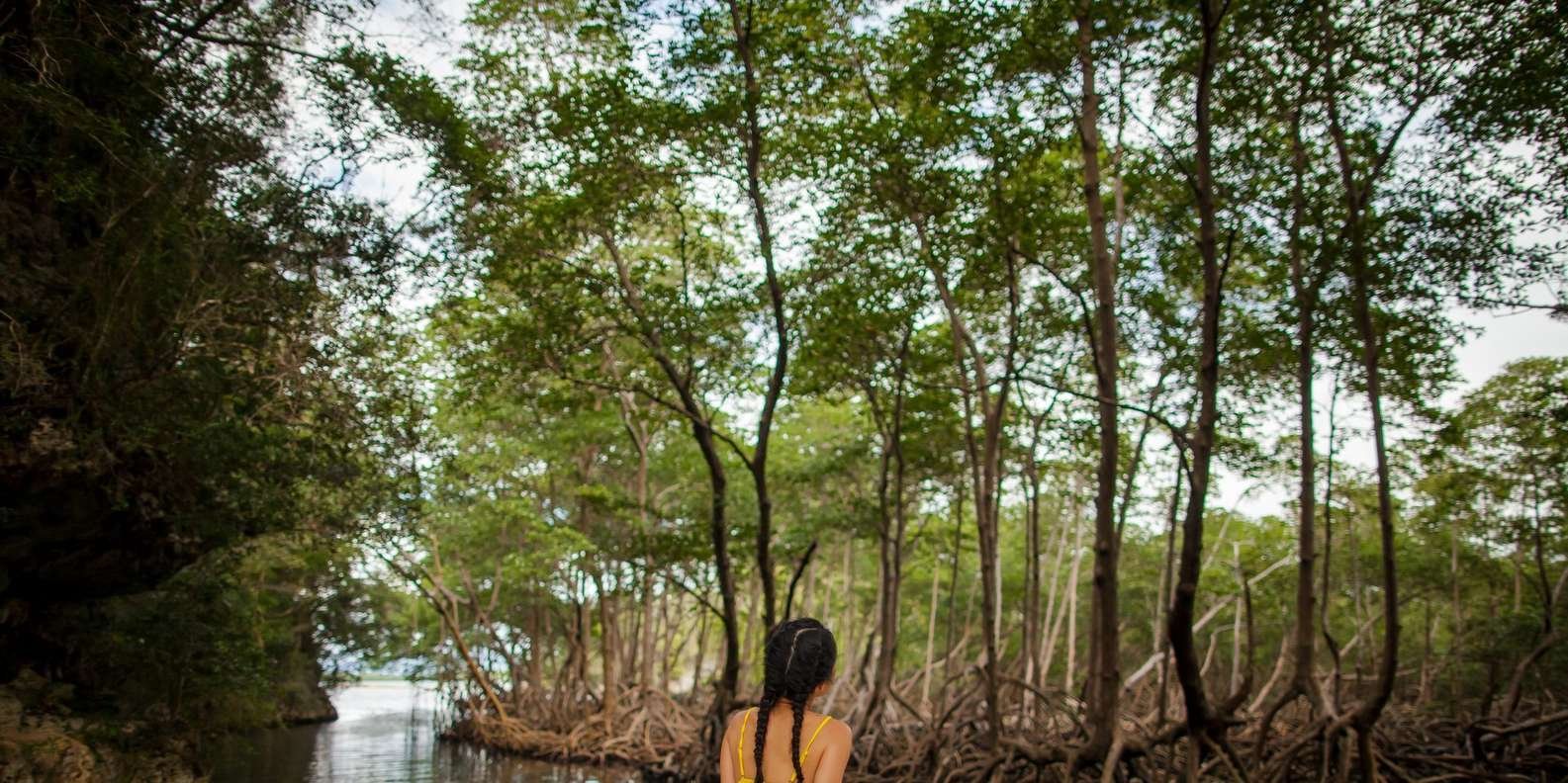 Los Haitises: Caves, Mangroves, & Rainforest Hike/Boat Tour - Image 3