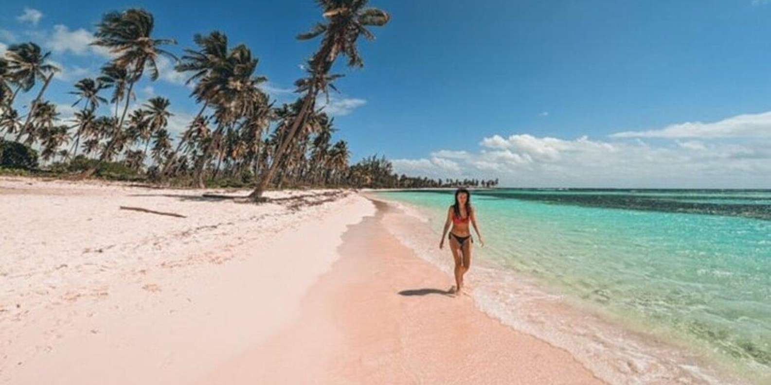 Bavaro: Saona Island VIP Speedboat Tour with Open Bar - Image 3