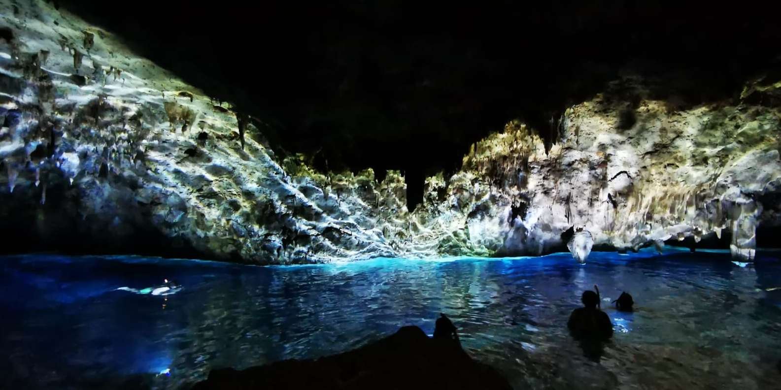 Bayahibe: National Park Jungle Walk & Snorkeling in Cenotes - Image 3