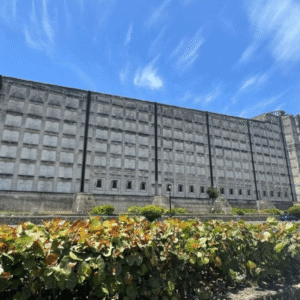 Punta Cana: Tour to Santo Domingo with lunch