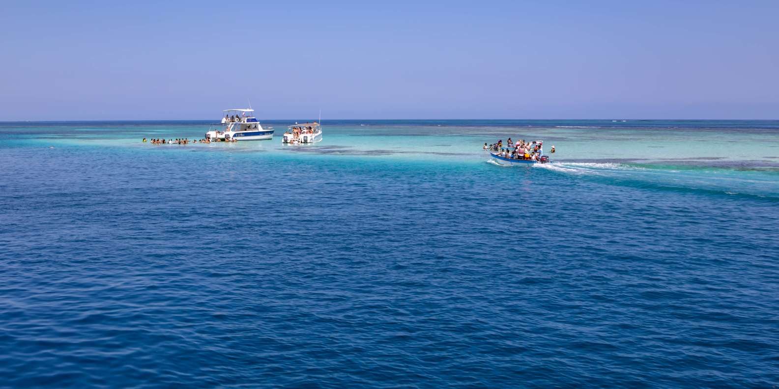 From Puerto Plata: Cayo Arena Private Catamaran Trip & Lunch - Image 4