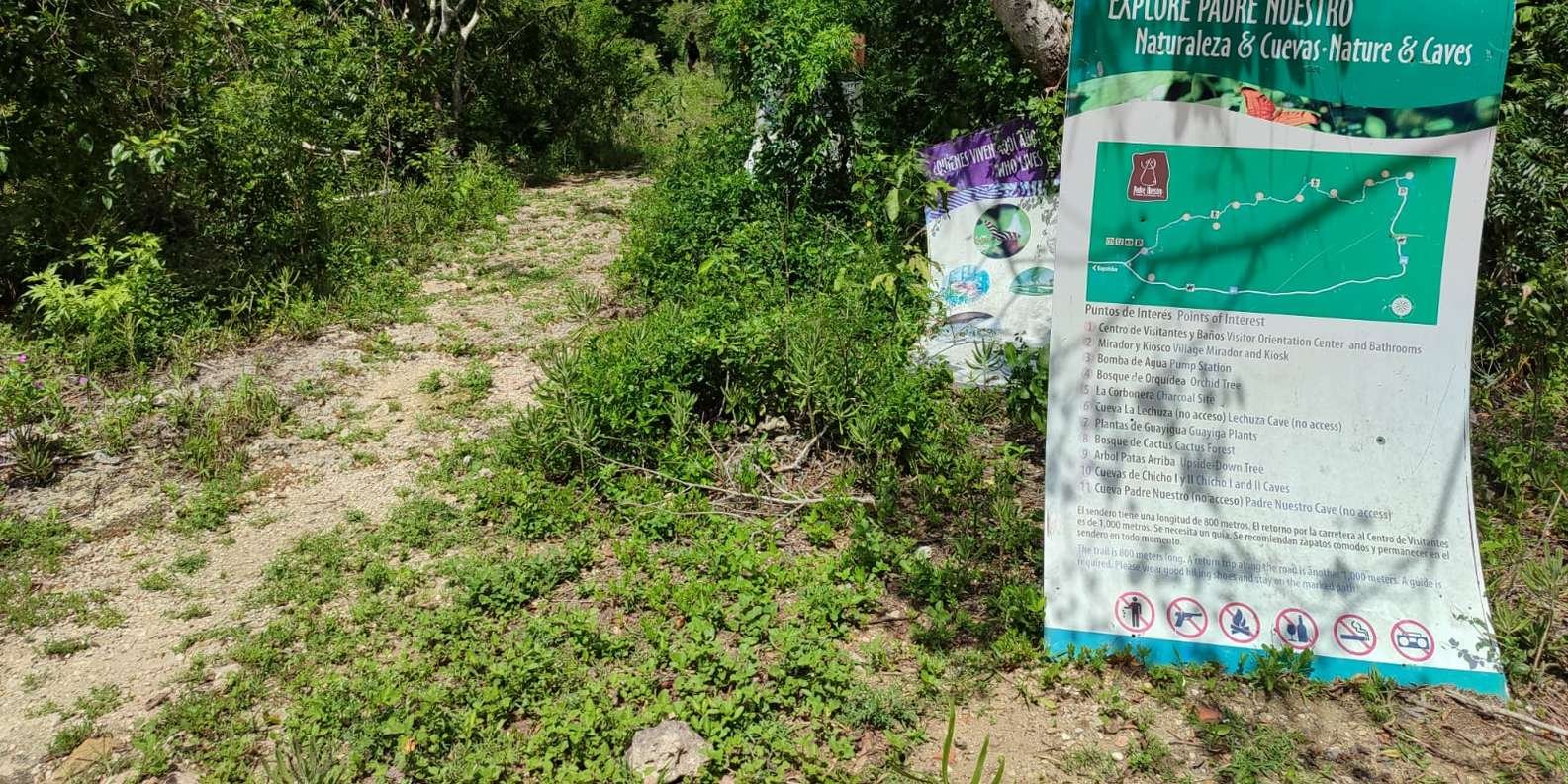 Bayahibe: National Park Jungle Walk & Snorkeling in Cenotes - Image 4